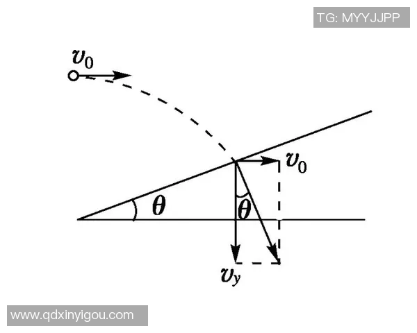 南京乒乓球队在邀请赛中的速度表现分析与点评