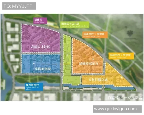 重庆足球队与杭州足球队赛后战术分析与复盘探讨