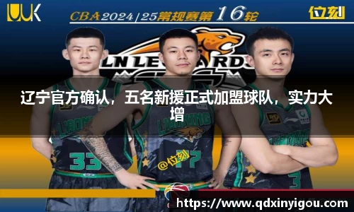 bsports官网入口