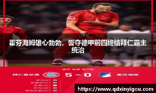bsports官网入口