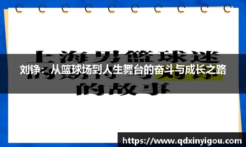 bsports官网入口