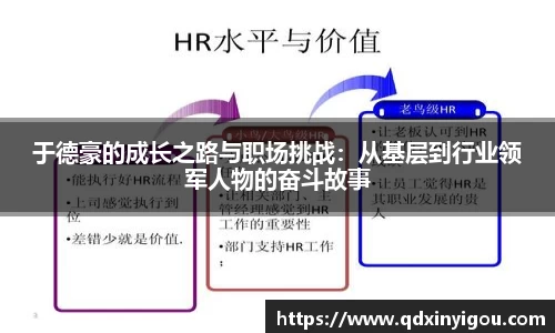 bsports官网