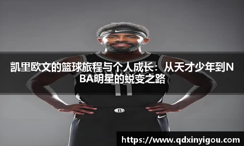 bsports官网