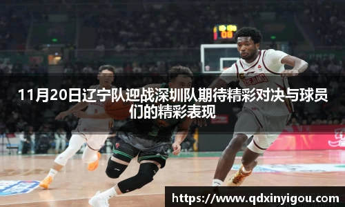 B体育bsports