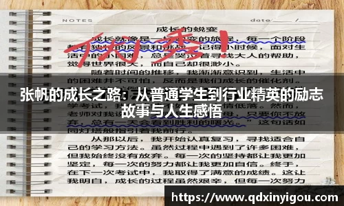 bsports官网入口