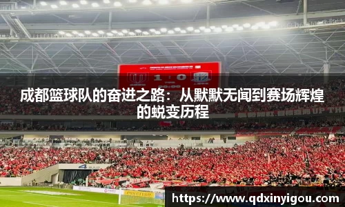 bsports官网入口